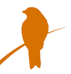Orange Illustration einer Amsel als Logo für Dr. Thomas Vogl Supervision & Coaching