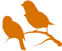 Orange Illustration zweier Amseln als Logo für Dr. Thomas Vogl Supervision & Coaching