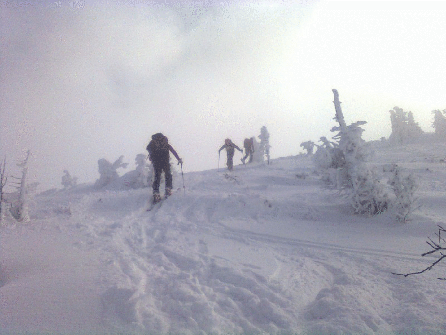 Veliki Toran in der Franska Draga