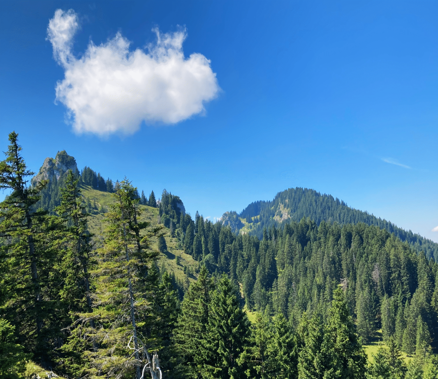 Veliki Toran in der Franska Draga